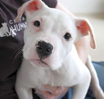 Photo of Popeye
