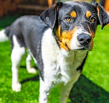 Photo of Beefcake