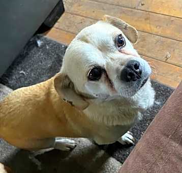 Photo of Max