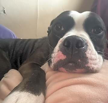 Photo of Zeus