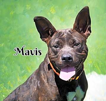 Photo of Mavis