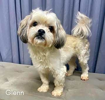 Photo of Glenn