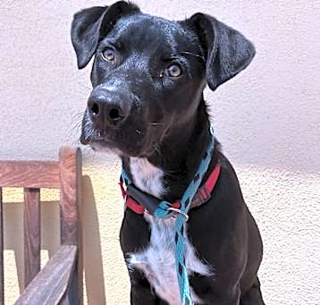 Photo of Tully