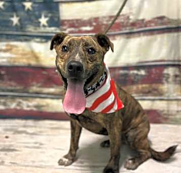 Photo of Beamer