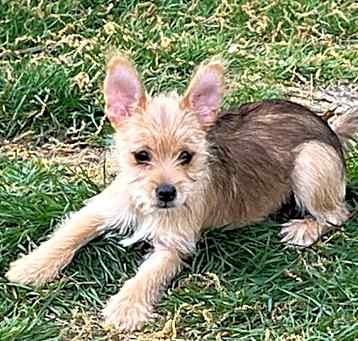 Photo of Gabby
