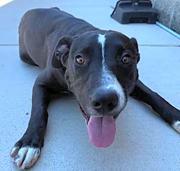 Photo of Junior