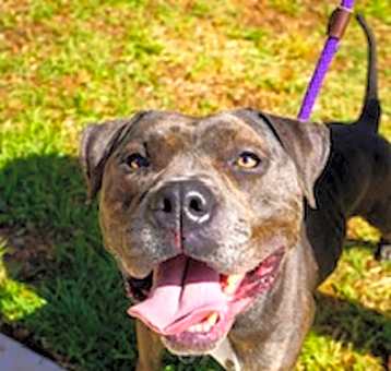 Photo of CHOP