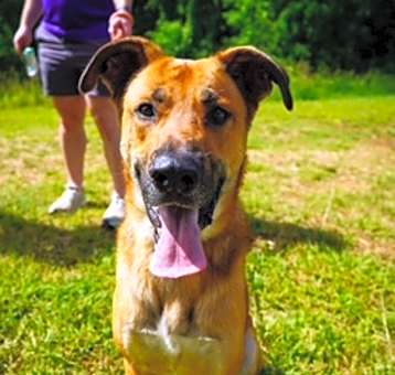 Photo of REX