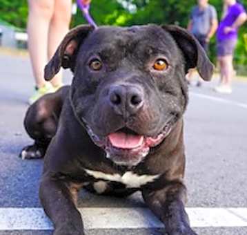 Photo of CHUCK