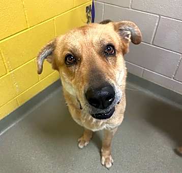 Photo of DUKE