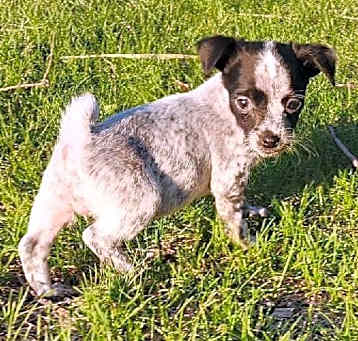 Photo of Elsa