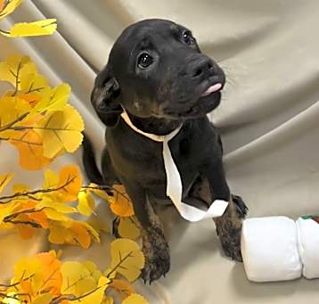 Photo of XENA sm