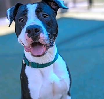 Photo of Oakley 