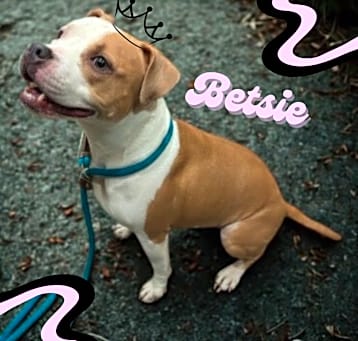 Photo of Betsie 