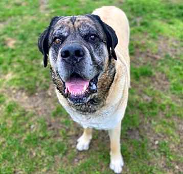 Photo of Gunner~24/25-0313a