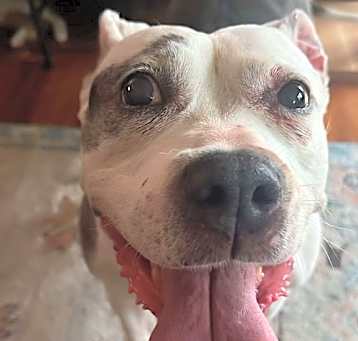 Photo of Bertha