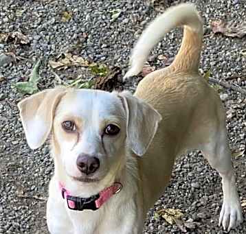 Photo of Lilly
