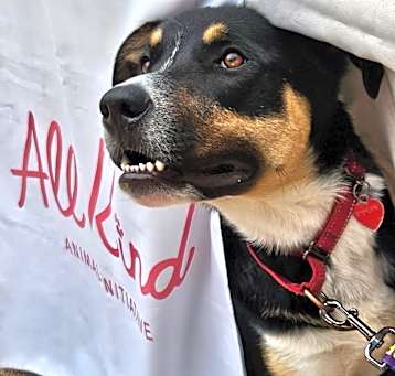 Photo of Bone Jovi