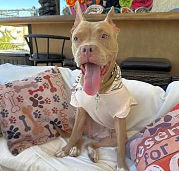 Photo of LILY ANN