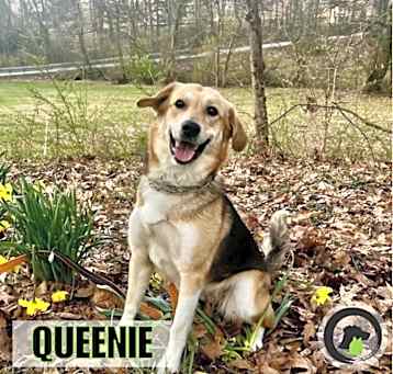 Photo of QUEENIE