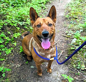 Photo of Redd