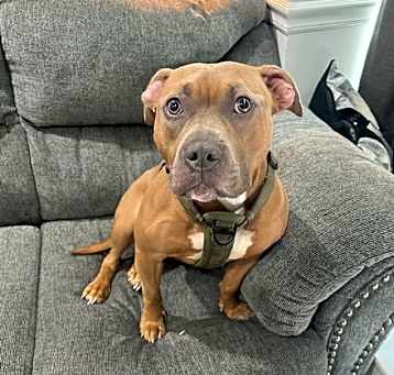Photo of Amora