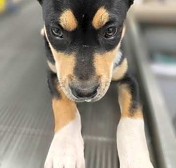 Photo of Jack