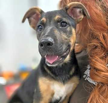 Photo of Sammy