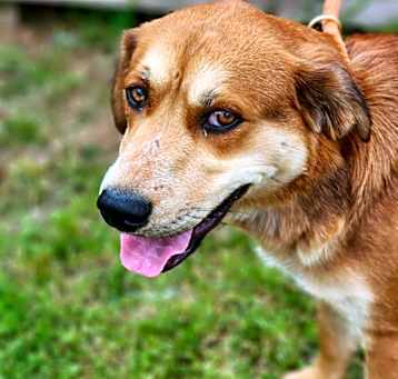 Photo of Clifford