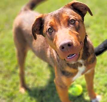 Photo of Roxxy
