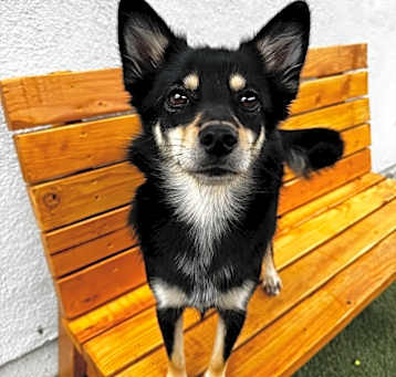 Photo of Miss Amy