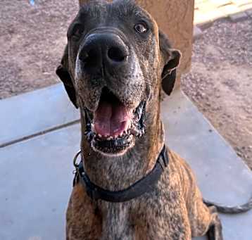 Photo of Ragnar