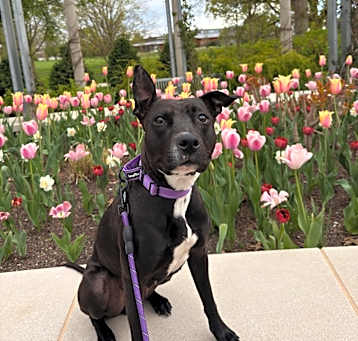 Photo of Evie