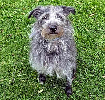 Photo of LANI