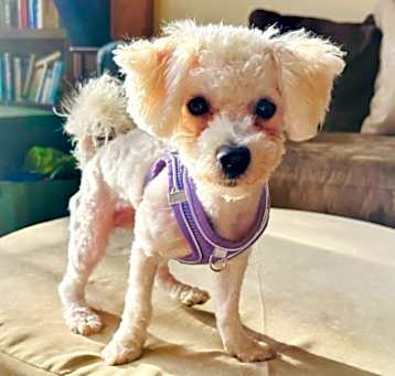 Photo of Chloe
