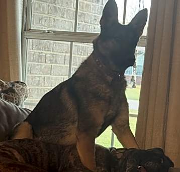 Photo of Maggie