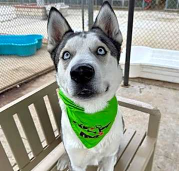 Photo of MAVERICK