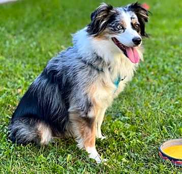 Photo of Zuzu