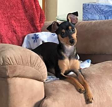 Photo of Mandy