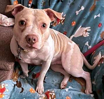Photo of Daisey