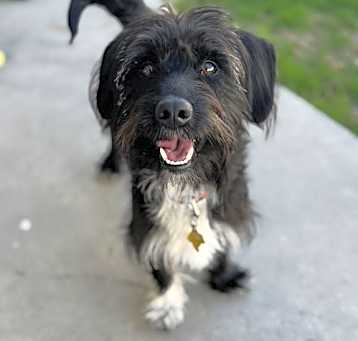 Photo of Scottie