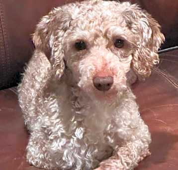 Photo of Wilber 