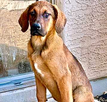 Photo of Max