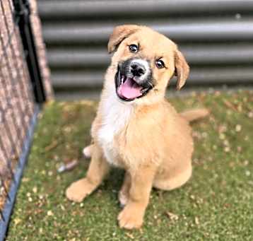 Photo of Stanley
