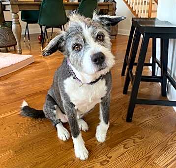 Photo of Zoey