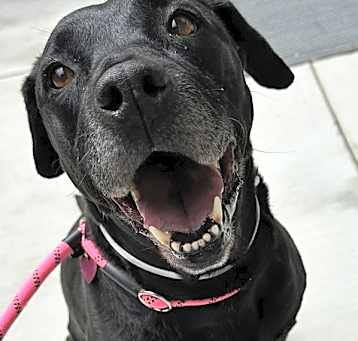 Photo of Molly