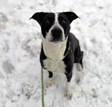 Photo of Sweetie