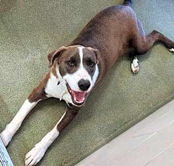 Photo of BONNIE