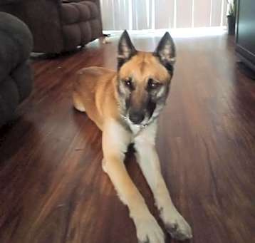Photo of Jericho