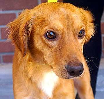 Photo of Bonsi